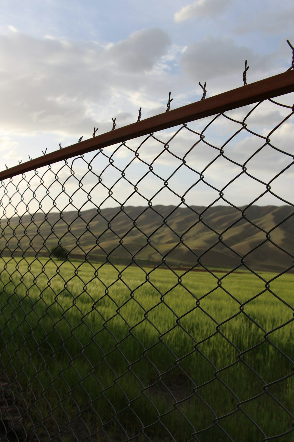 Malla galvanizada con postes cerrando un sitio con pasto